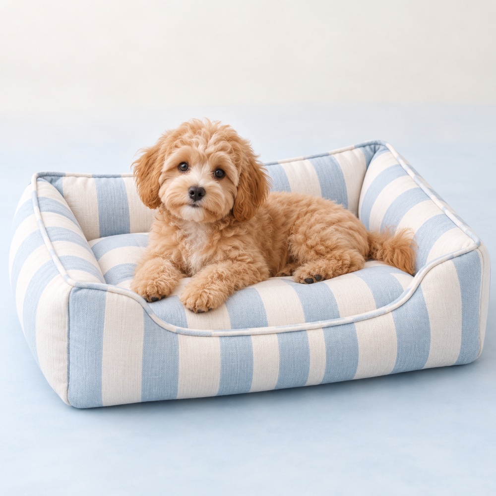 Blue Striped Bed with a cute puppy, illustrative photo