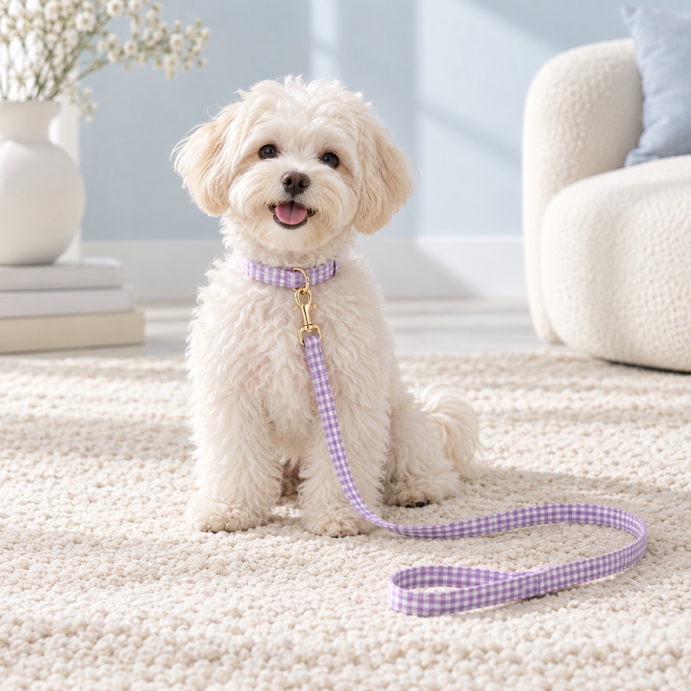 Lavender Check Collar & Leash worn by a cute puppy with the matching leash, illustrative photo